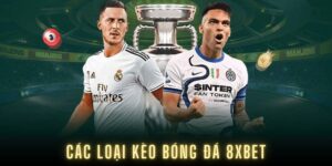 Các loại kèo bóng đá 8XBET